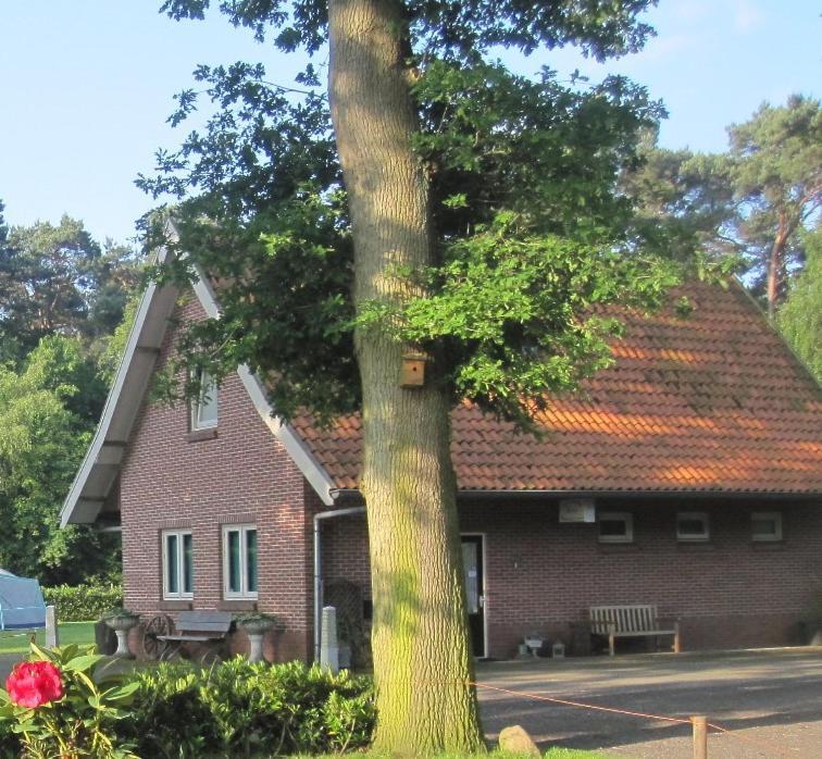 Vakantiehuis In Een Prachtige Bosrijke Omgeving In Twente! Bornerbroek Exterior foto
